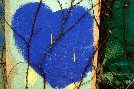 Blue heart (Photograph by Bernard Kleina)